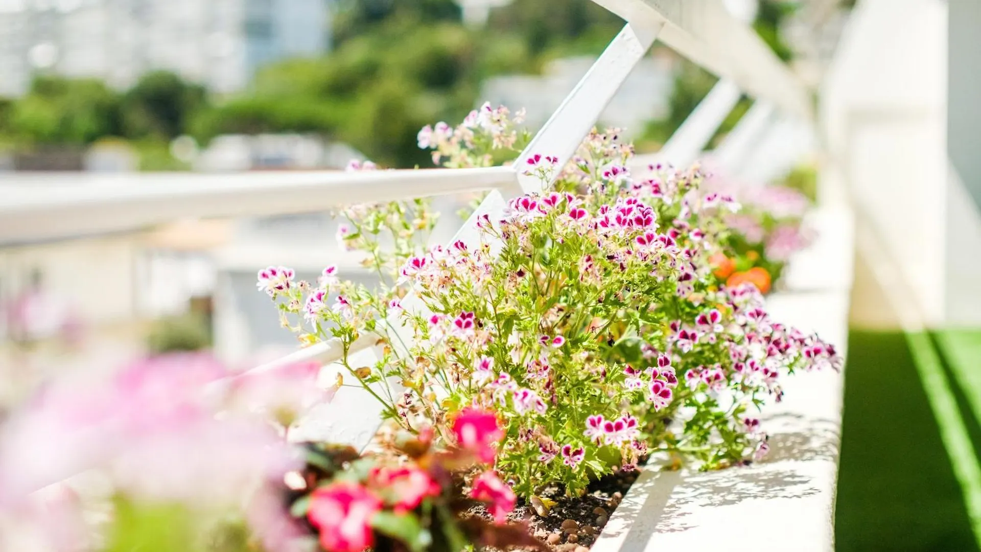 Le Diana Cannes Apartmán